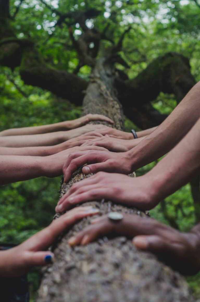 Shared Growth: A Path to Collective Success